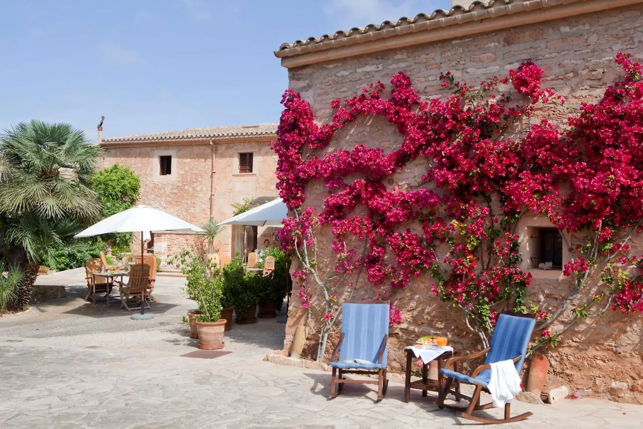 Affittacamere Sa Carrotja - Adults Only Ses Salines  Spagna