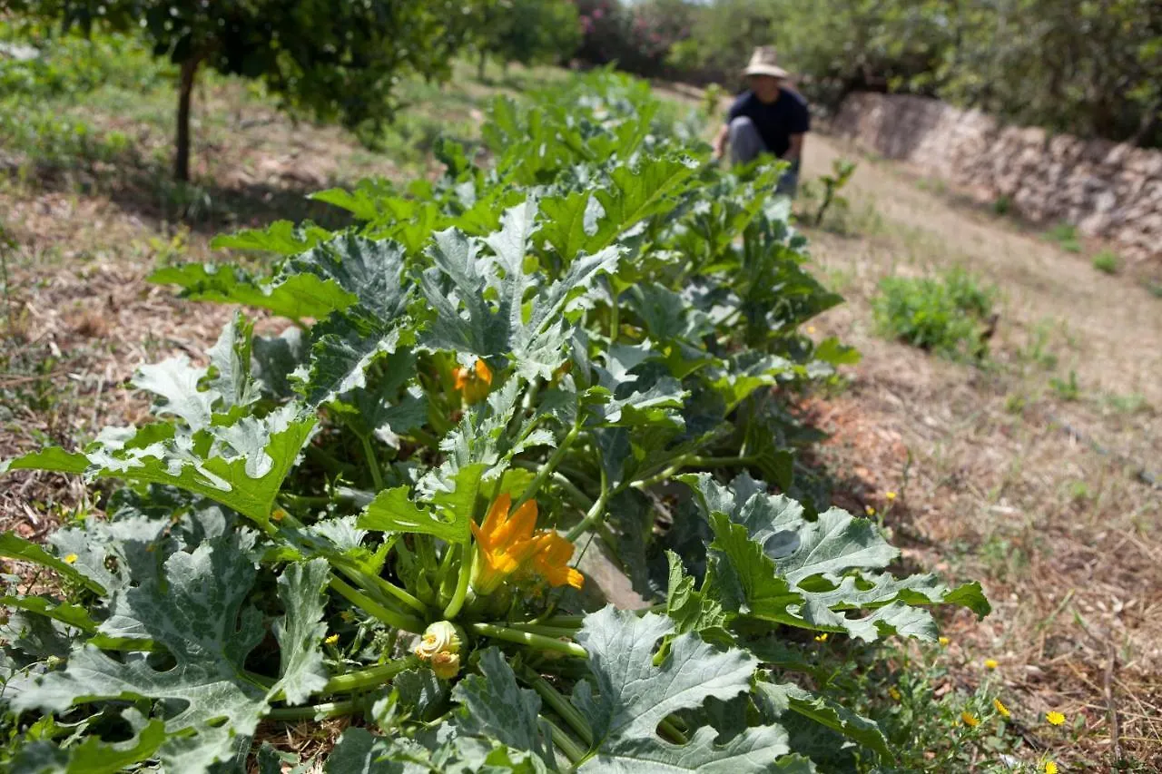 Affittacamere Sa Carrotja - Adults Only Ses Salines  Casa di campagna Ses Salines (Mallorca)